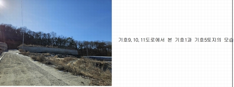 2024타경51846 경기도 화성시 서신면 매화리 100-8 임야 경매 이미지