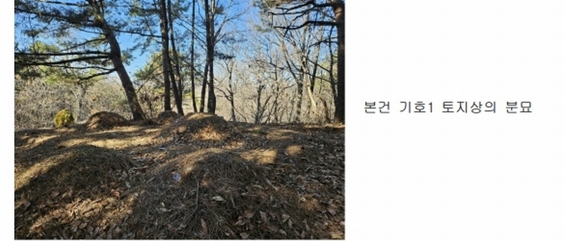 2024타경51846 경기도 화성시 서신면 매화리 100-8 임야 경매 이미지