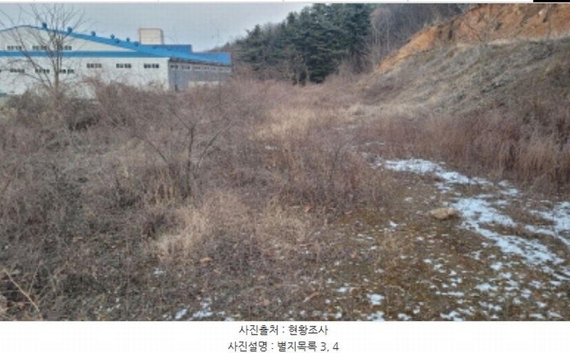 2024타경51846 경기도 화성시 서신면 매화리 100-8 임야 경매 이미지