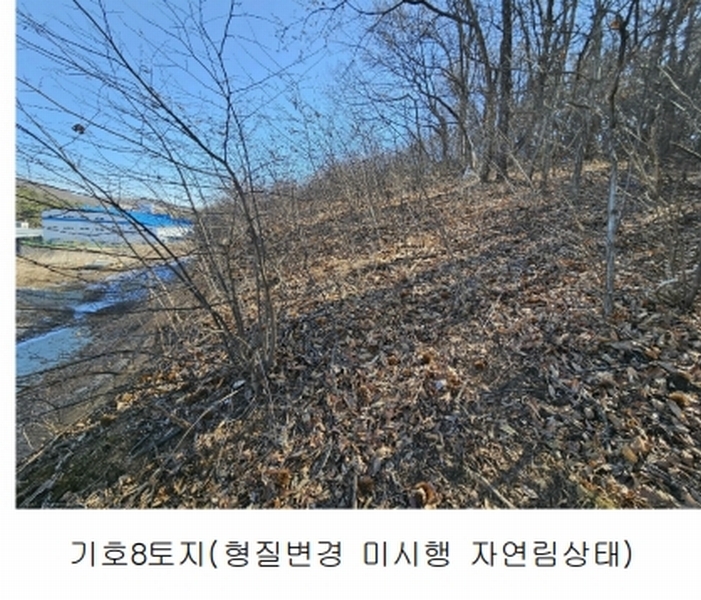 2024타경51846 경기도 화성시 서신면 매화리 100-8 임야 경매 이미지