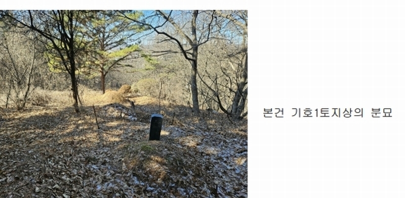 2024타경51846 경기도 화성시 서신면 매화리 100-8 임야 경매 이미지
