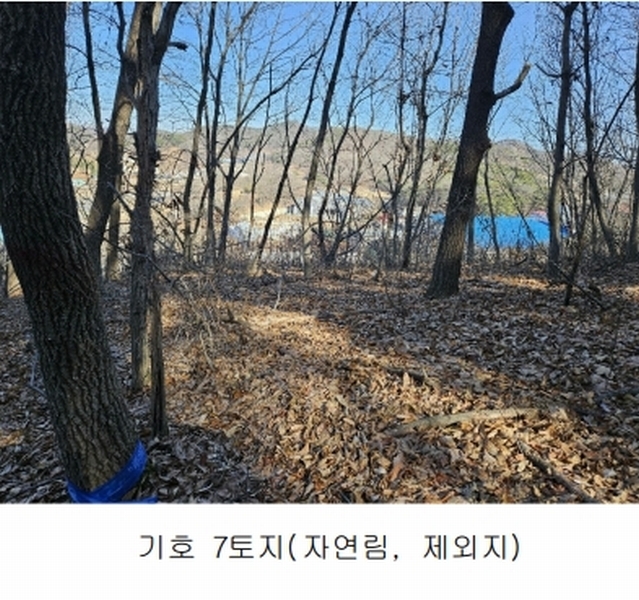 2024타경51846 경기도 화성시 서신면 매화리 100-8 임야 경매 이미지