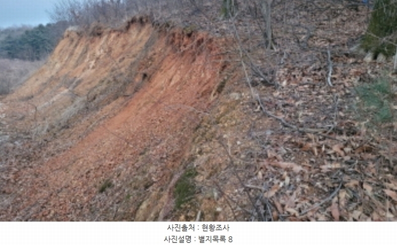 2024타경51846 경기도 화성시 서신면 매화리 100-8 임야 경매 이미지