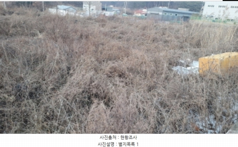 2024타경51846 경기도 화성시 서신면 매화리 100-8 임야 경매 이미지