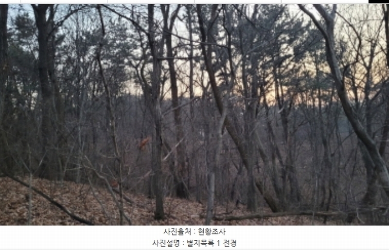 2024타경51846 경기도 화성시 서신면 매화리 100-8 임야 경매 이미지