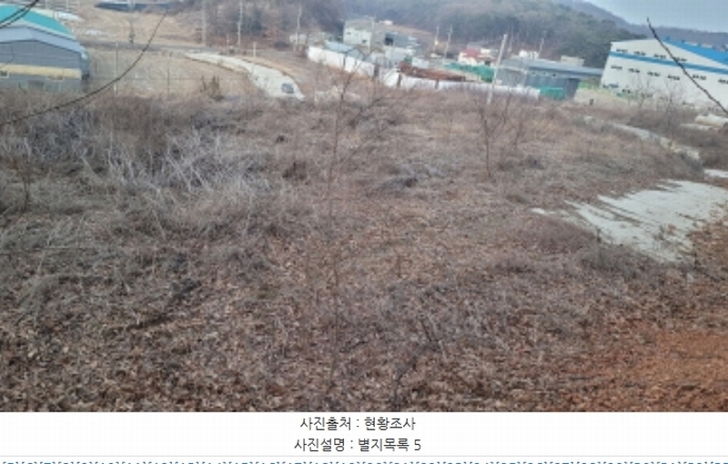 2024타경51846 경기도 화성시 서신면 매화리 100-8 임야 경매 이미지