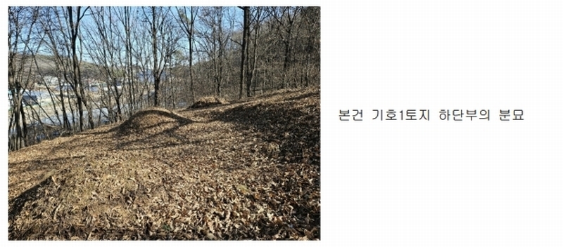 2024타경51846 경기도 화성시 서신면 매화리 100-8 임야 경매 이미지