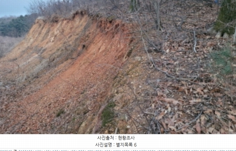 2024타경51846 경기도 화성시 서신면 매화리 100-8 임야 경매 이미지