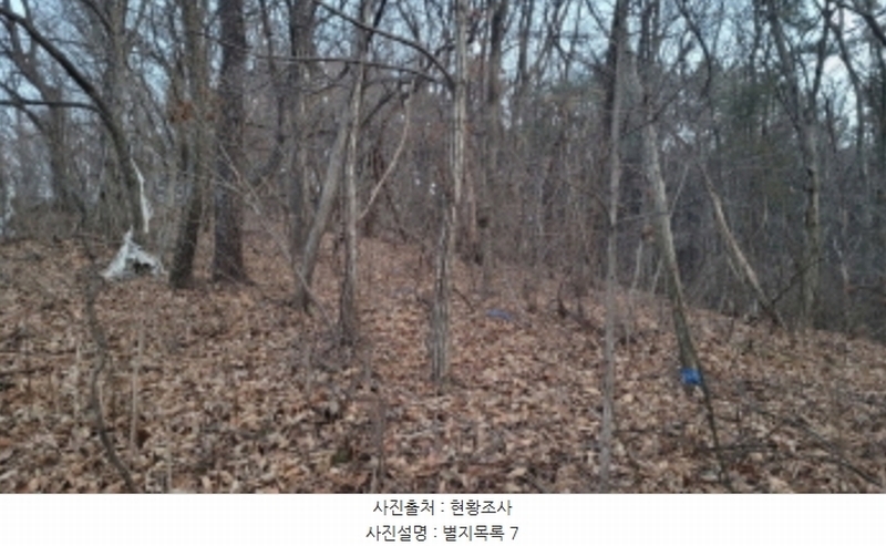 2024타경51846 경기도 화성시 서신면 매화리 100-8 임야 경매 이미지