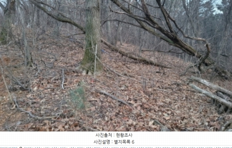 2024타경51846 경기도 화성시 서신면 매화리 100-8 임야 경매 이미지