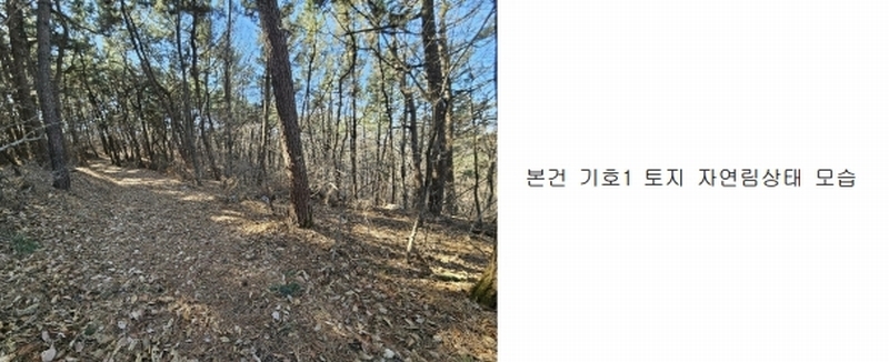 2024타경51846 경기도 화성시 서신면 매화리 100-8 임야 경매 이미지
