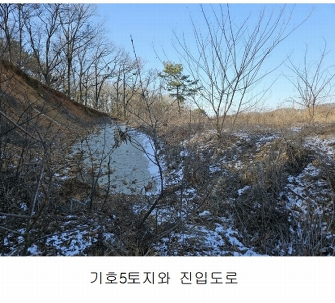 2024타경51846 경기도 화성시 서신면 매화리 100-8 임야 경매 이미지
