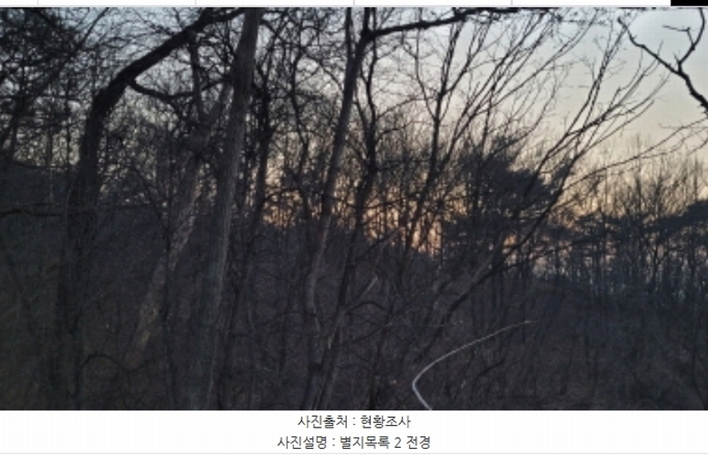 2024타경51846 경기도 화성시 서신면 매화리 100-8 임야 경매 이미지