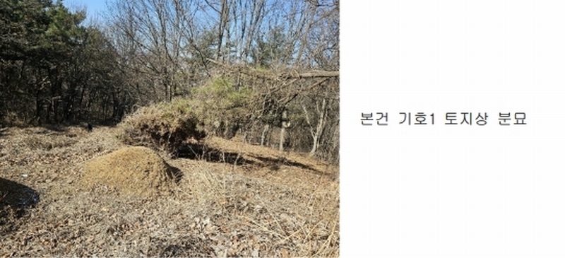 2024타경51846 경기도 화성시 서신면 매화리 100-8 임야 경매 이미지