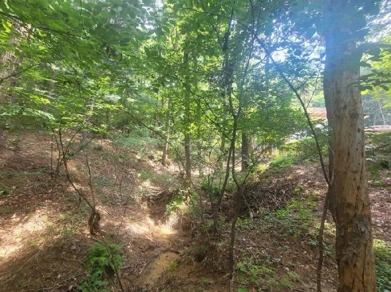 2025타경1464 경기도 용인시 기흥구 공세동 450-135 임야 경매 이미지