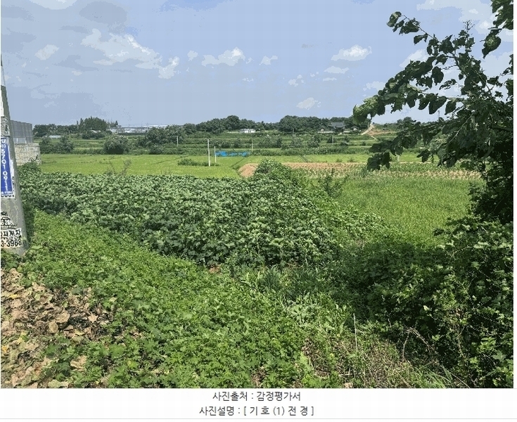 2025타경1592 경기도 화성시 장안면 금의리 505-3 농지 경매 이미지