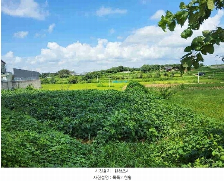 2025타경1592 경기도 화성시 장안면 금의리 505-3 농지 경매 이미지