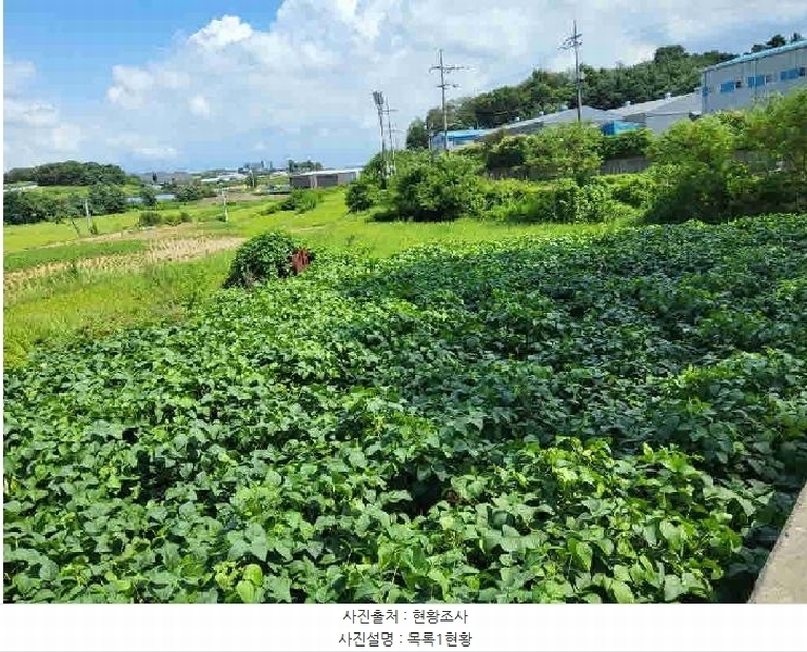 2025타경1592 경기도 화성시 장안면 금의리 505-3 농지 경매 이미지