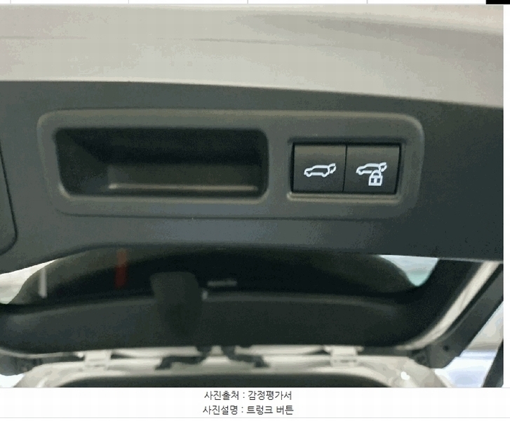 2025타경58932 경기도 용인시 기흥구 보정동 1266-1, 6층 걸리버옥션 렉서스 RX500h 경매 이미지