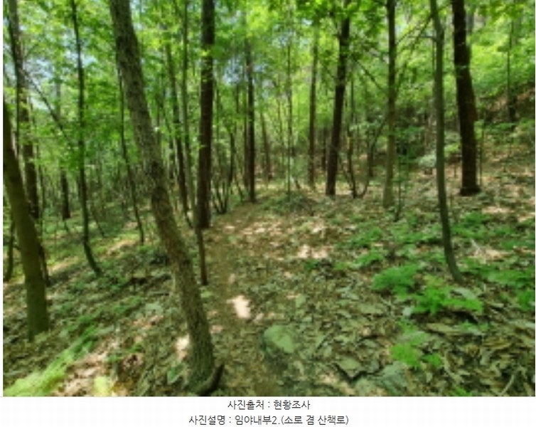 2024타경64590 경기도 용인시 수지구 동천동 산10-4 임야 경매 이미지