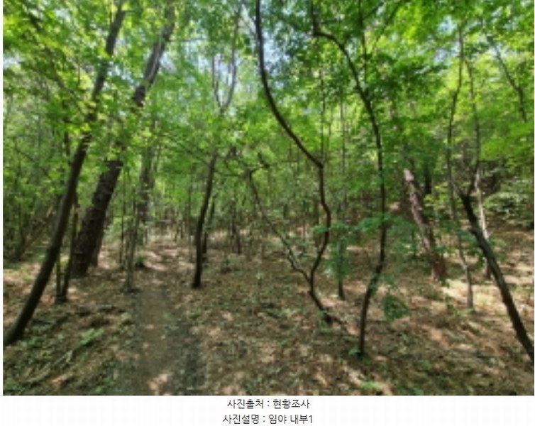 2024타경64590 경기도 용인시 수지구 동천동 산10-4 임야 경매 이미지
