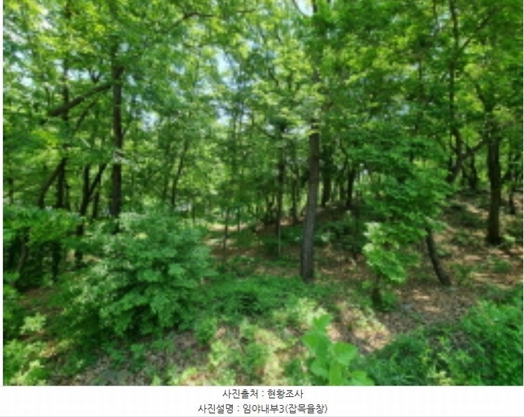 2024타경64590 경기도 용인시 수지구 동천동 산10-4 임야 경매 이미지