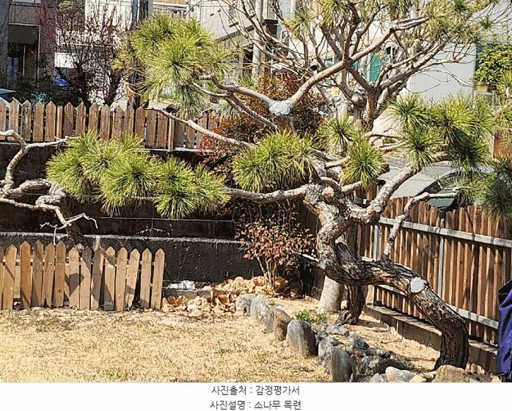 2025타경990 울산광역시 울주군 삼남읍 교동리 1583-7 주택 경매 이미지