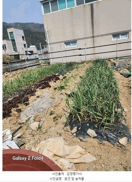2025타경1185 부산광역시 강서구 녹산동 1326-8 대지 경매 이미지