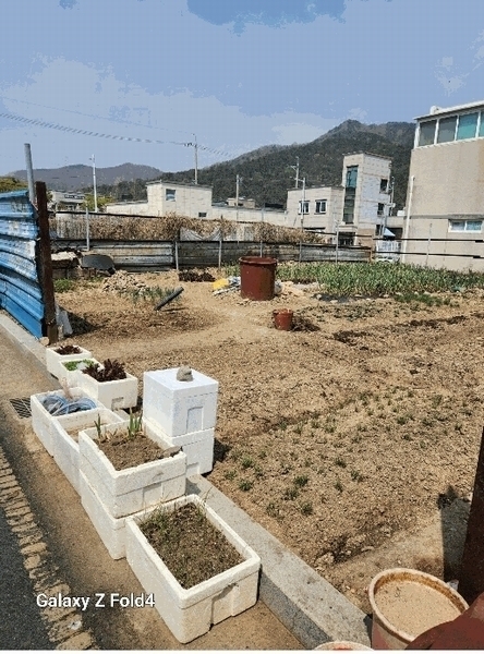 2025타경1185 부산광역시 강서구 녹산동 1326-8 대지 경매 이미지