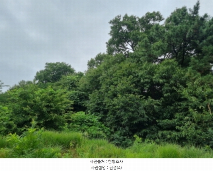 2024타경80431 경기도 화성시 서신면 송교리 산70-4 임야 경매 이미지