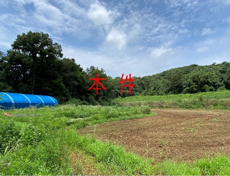 2024타경80431 경기도 화성시 서신면 송교리 산70-4 임야 경매 이미지