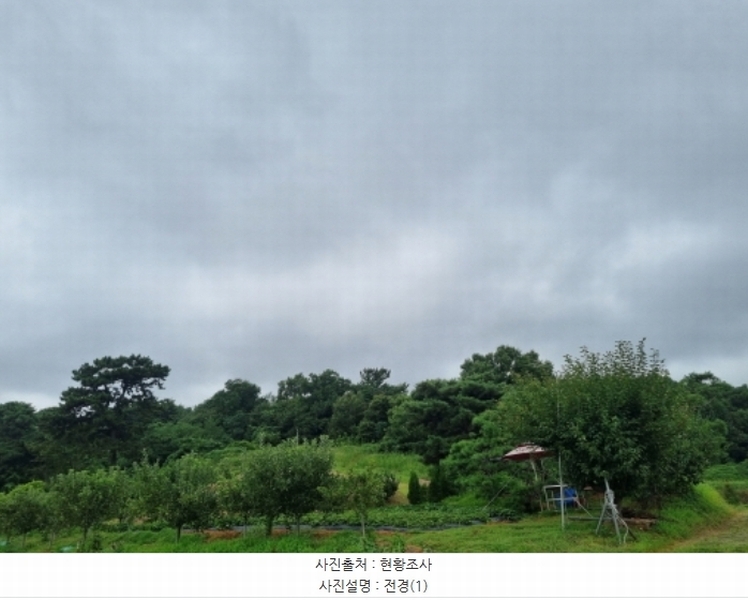 2024타경80431 경기도 화성시 서신면 송교리 산70-4 임야 경매 이미지