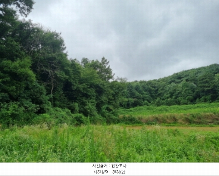 2024타경80431 경기도 화성시 서신면 송교리 산70-4 임야 경매 이미지