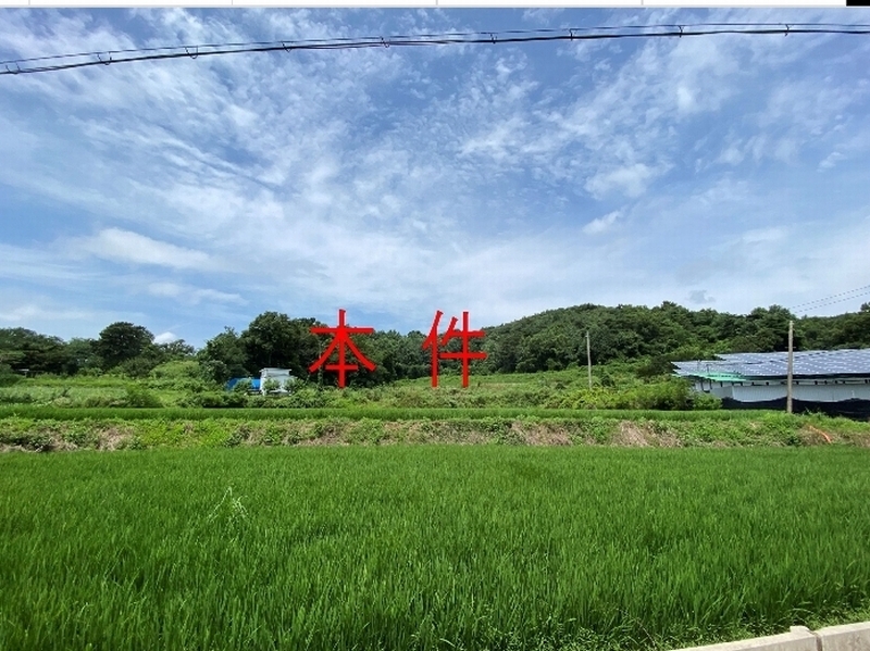 2024타경80431 경기도 화성시 서신면 송교리 산70-4 임야 경매 이미지