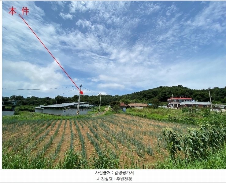 2024타경80431 경기도 화성시 서신면 송교리 산70-4 임야 경매 이미지