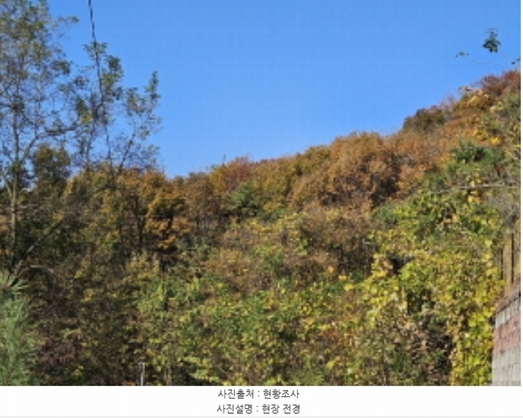 2024타경92601 경기도 용인시 처인구 원삼면 맹리 산57-4 임야 경매 이미지