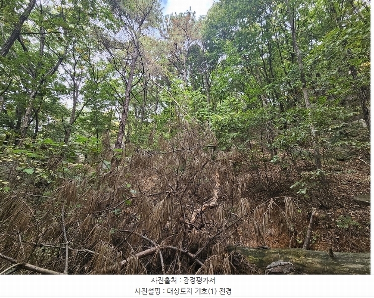 2024타경92601 경기도 용인시 처인구 원삼면 맹리 산57-4 임야 경매 이미지