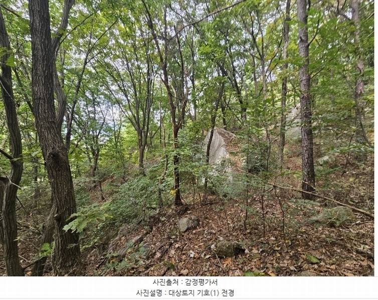 2024타경92601 경기도 용인시 처인구 원삼면 맹리 산57-4 임야 경매 이미지