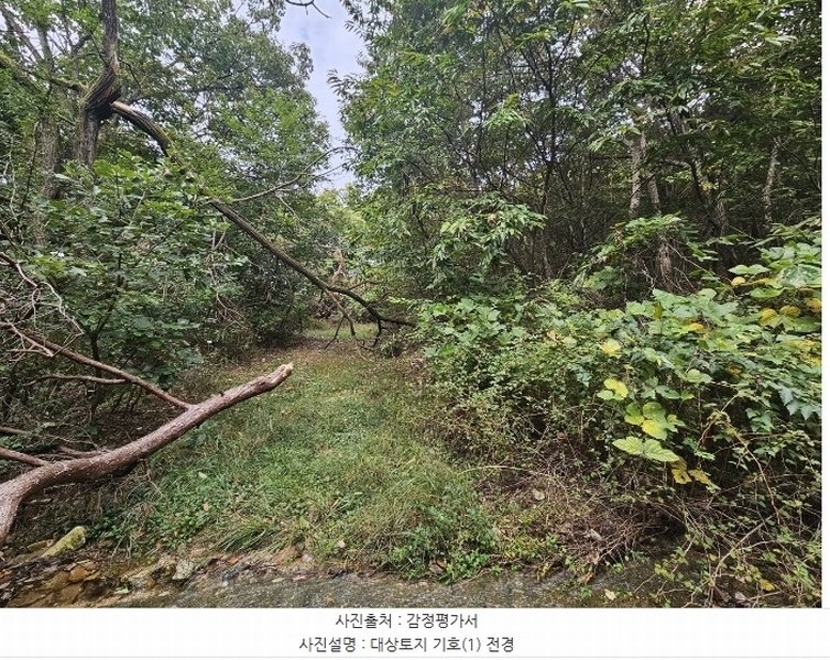 2024타경92601 경기도 용인시 처인구 원삼면 맹리 산57-4 임야 경매 이미지
