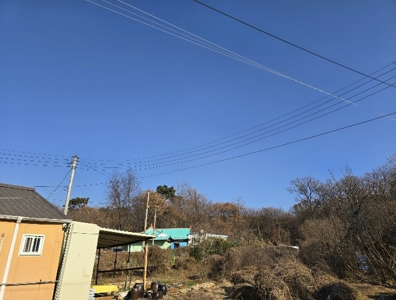 2024타경101192 경기도 화성시 팔탄면 덕천리 산85 임야 경매 이미지