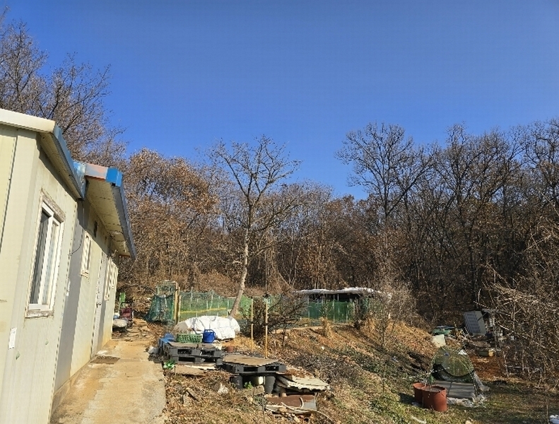 2024타경101192 경기도 화성시 팔탄면 덕천리 산85 임야 경매 이미지