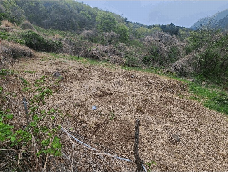 2025타경197 경상남도 창원시 마산합포구 진전면 여양리 90 농지 경매 이미지