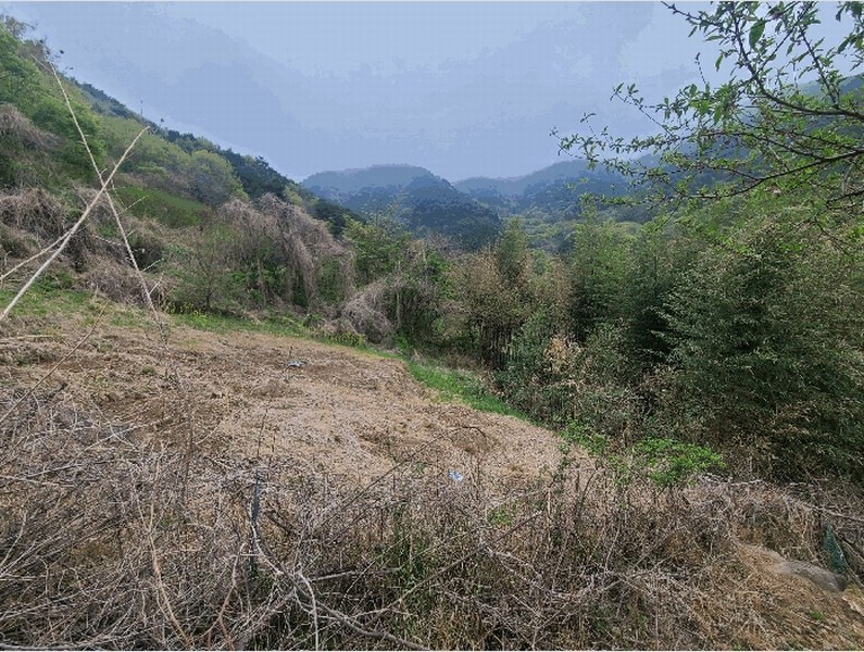 2025타경197 경상남도 창원시 마산합포구 진전면 여양리 90 농지 경매 이미지