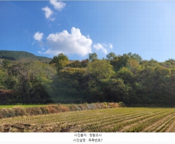 2024타경5874 경상남도 하동군 하동읍 흥룡리 1203-4 농지 경매 이미지