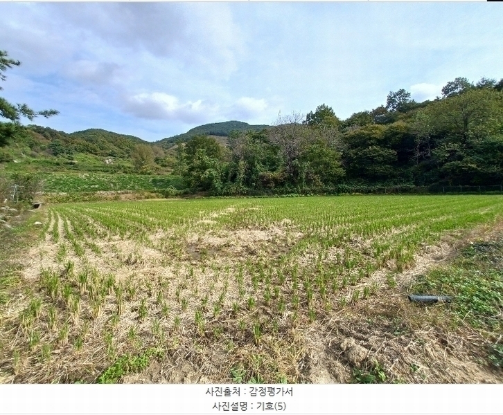2024타경5874 경상남도 하동군 하동읍 흥룡리 1203-4 농지 경매 이미지