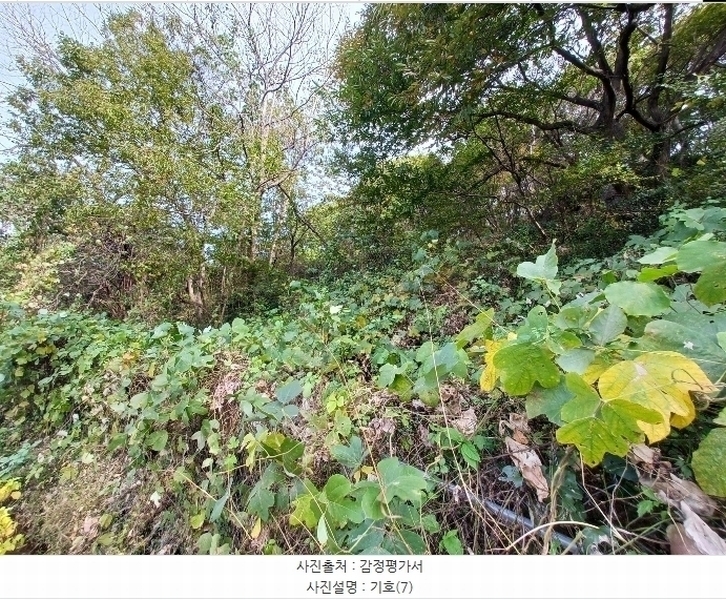 2024타경5874 경상남도 하동군 하동읍 흥룡리 1203-4 농지 경매 이미지