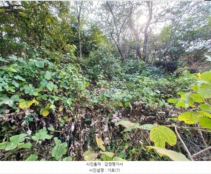 2024타경5874 경상남도 하동군 하동읍 흥룡리 1203-4 농지 경매 이미지