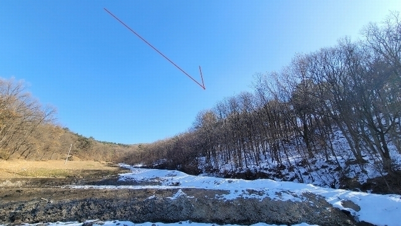 2024타경98319 경기도 수원시 장안구 상광교동 산46-1 임야 경매 이미지