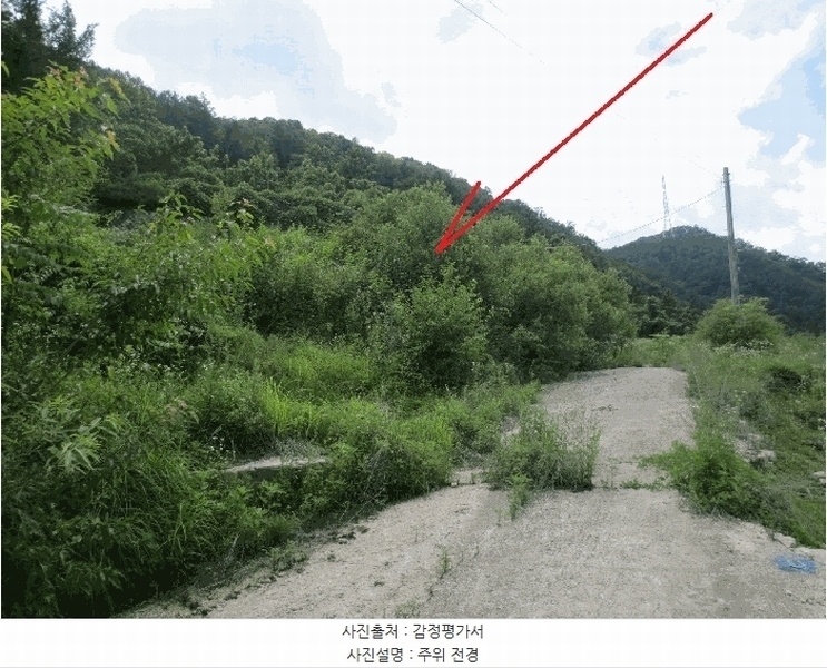 2025타경50765 강원특별자치도 홍천군 서면 마곡리 216-2 대지 경매 이미지