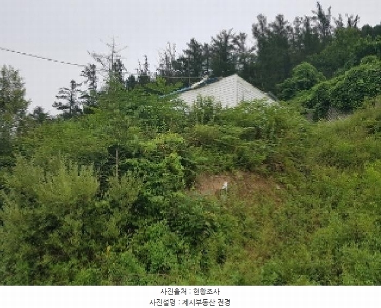 2025타경50765 강원특별자치도 홍천군 서면 마곡리 216-2 대지 경매 이미지